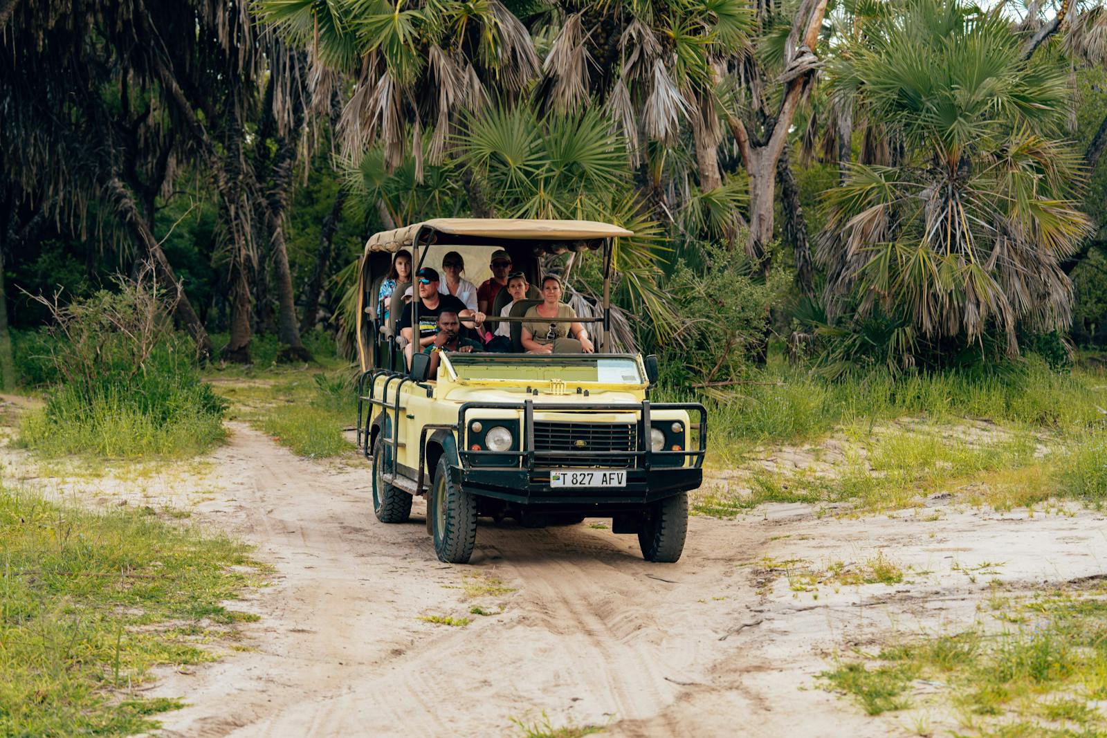 Explore the wild on a safari with an off-road vehicle carrying adventurers through tropical landscapes.