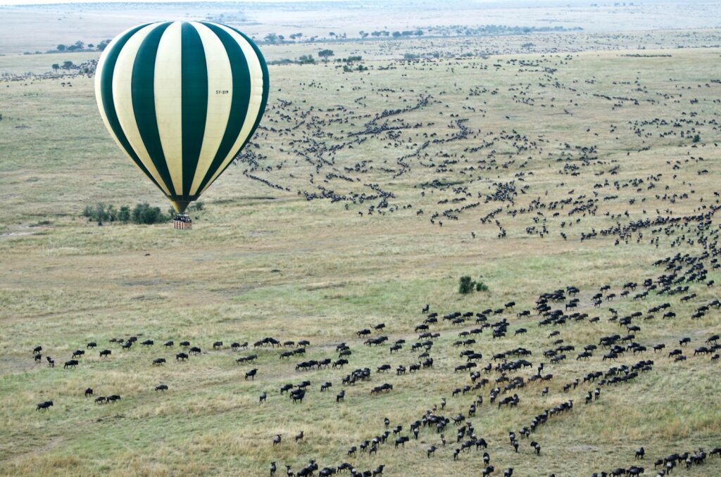 aerial photography of hot air balloon and migration